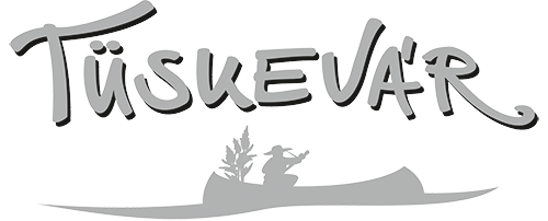 Tüskevár Általános Iskola és Gimnázium