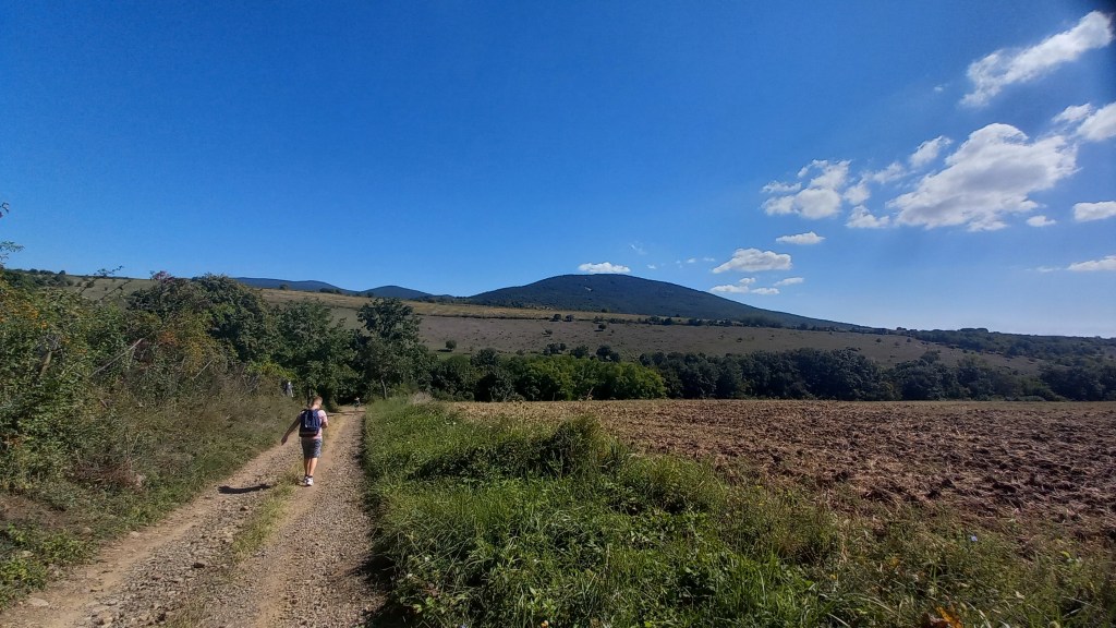 Nomád tábor Gyöngyöspatán