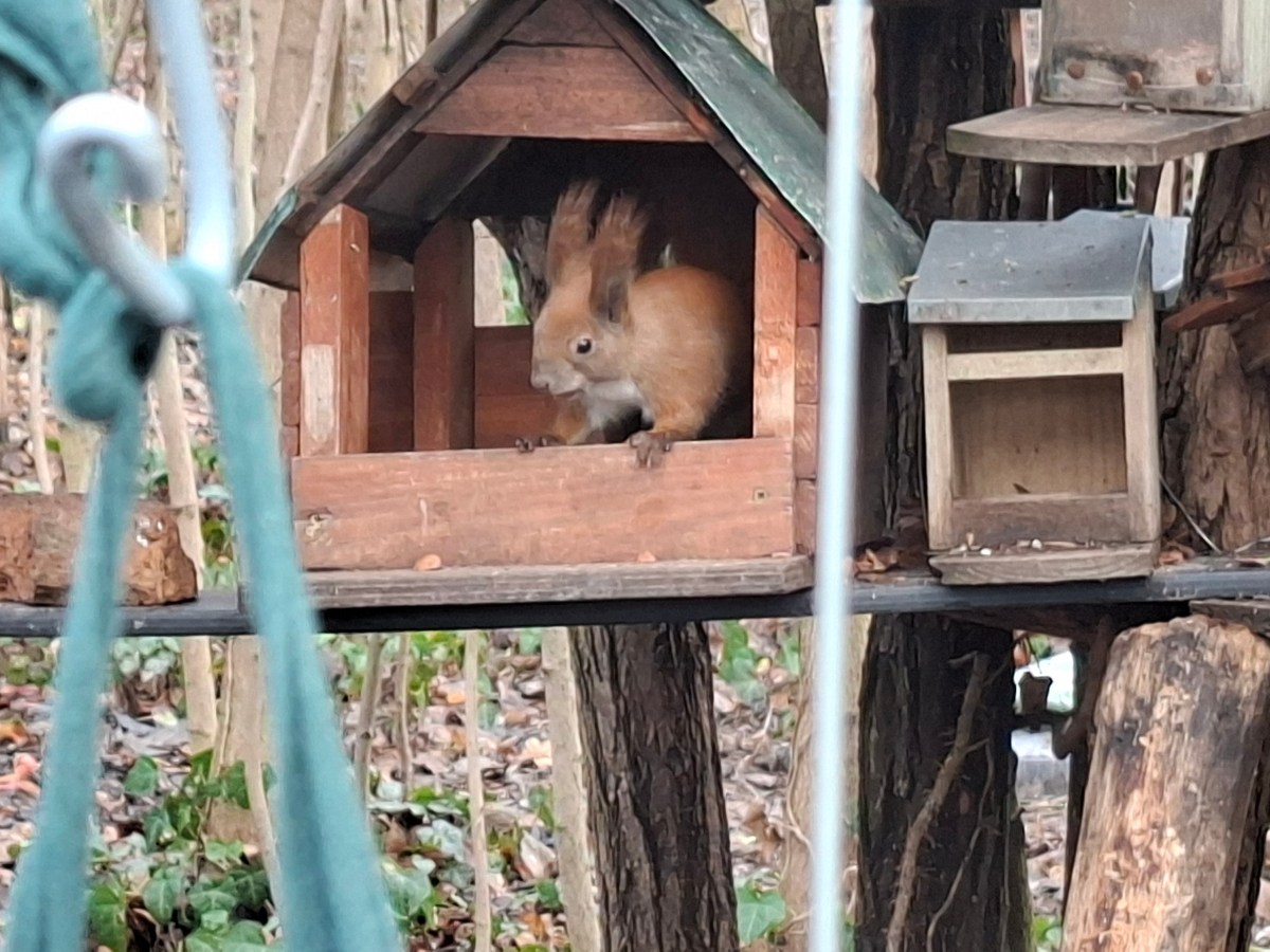 Mókaligetben (is) az ötödik&nbsp;osztály
